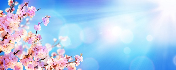 戰(zhàn)疫情，北京韋林公司全體員工齊心協(xié)力共克時(shí)艱！